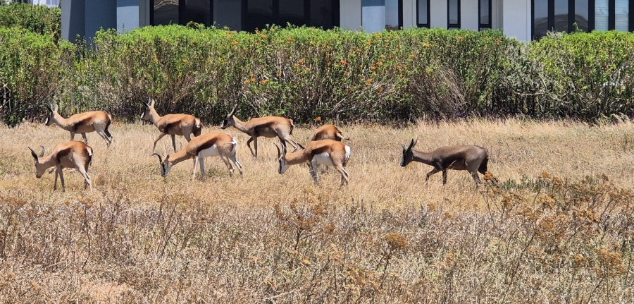 2 Bedroom Property for Sale in Langebaan Country Estate Western Cape